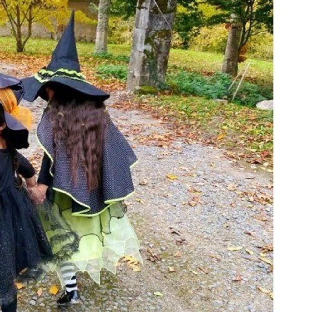 Pottery Barn Kids Witch Halloween Costume 4-6 Green Tulle Cat Hat Cape Skirt - Picture 9 of 9